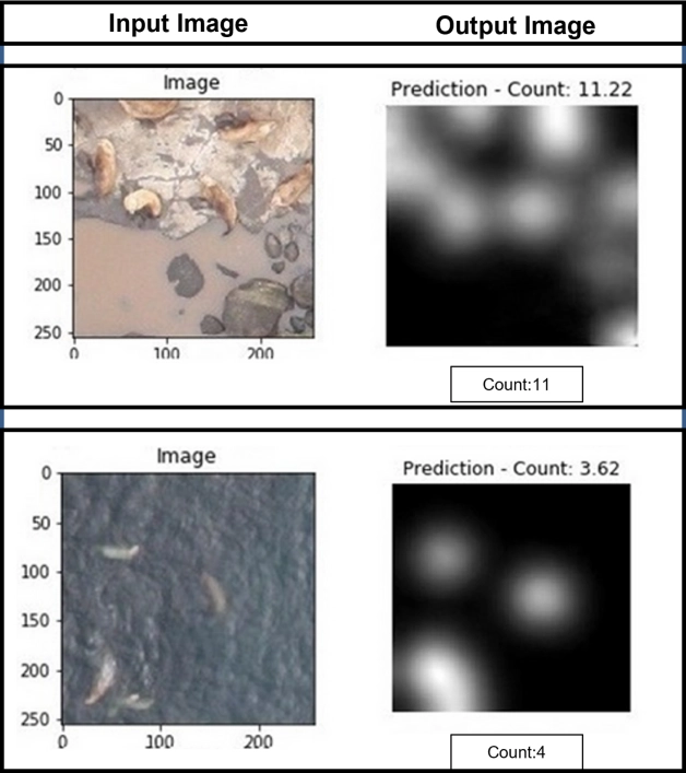 Input and output examples showing density maps and predicted counts for wildlife.